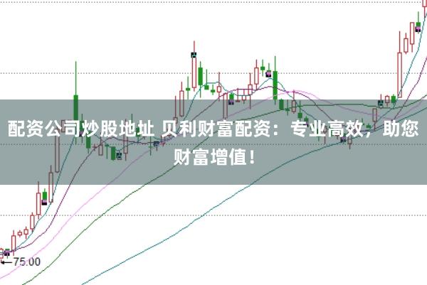 配资公司炒股地址 贝利财富配资：专业高效，助您财富增值！