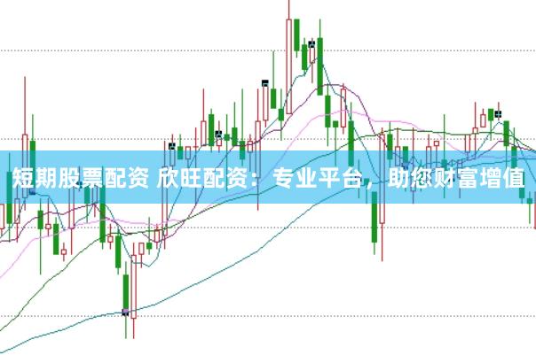 短期股票配资 欣旺配资：专业平台，助您财富增值