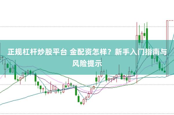 正规杠杆炒股平台 金配资怎样？新手入门指南与风险提示