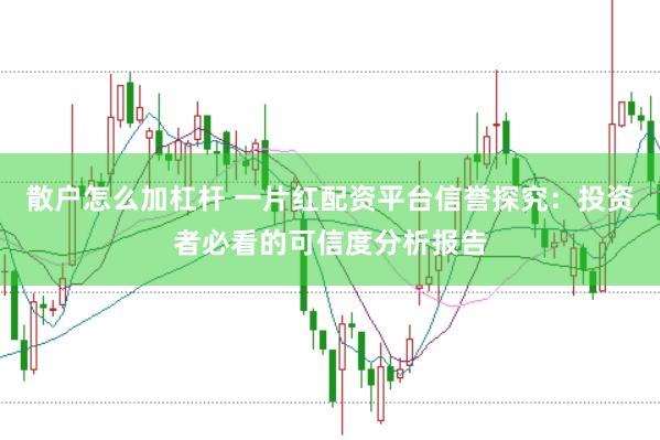 散户怎么加杠杆 一片红配资平台信誉探究：投资者必看的可信度分析报告