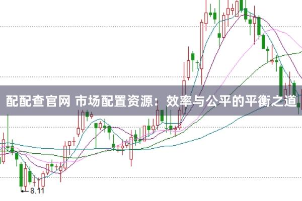 配配查官网 市场配置资源：效率与公平的平衡之道
