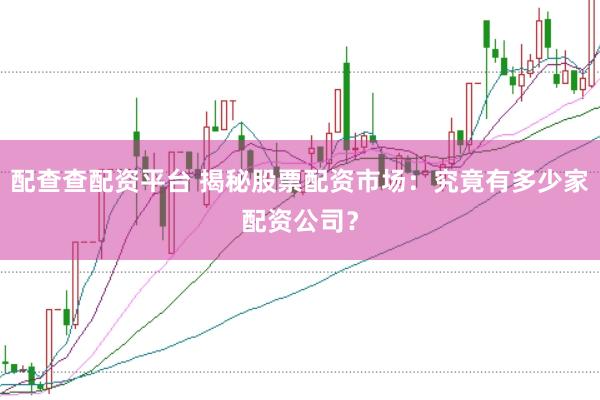 配查查配资平台 揭秘股票配资市场：究竟有多少家配资公司？