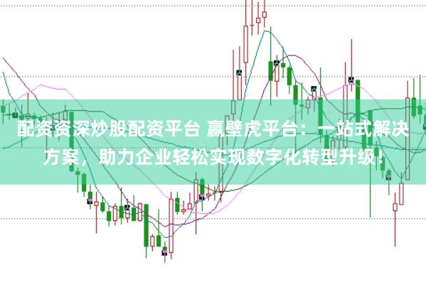 配资资深炒股配资平台 赢壁虎平台：一站式解决方案，助力企业轻松实现数字化转型升级！