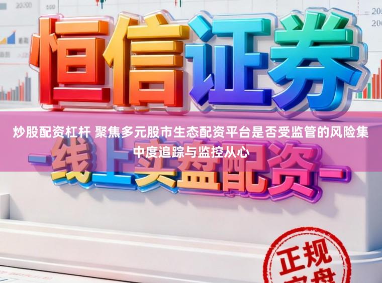 炒股配资杠杆 聚焦多元股市生态配资平台是否受监管的风险集中度追踪与监控从心