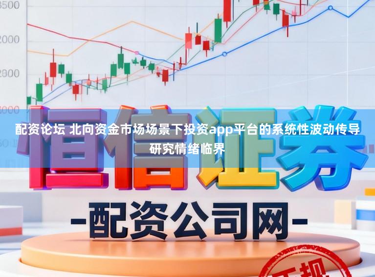 配资论坛 北向资金市场场景下投资app平台的系统性波动传导研究情绪临界